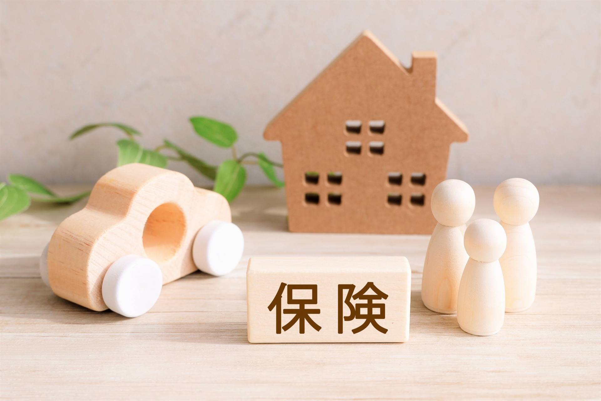 22963533_m_11zon (1)