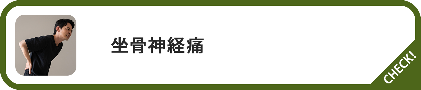 坐骨神経痛ページボタン