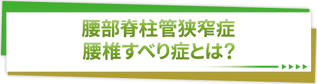 腰部脊柱管狭窄症・腰椎すべり症とは？