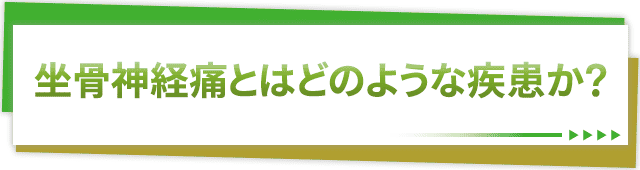 坐骨神経痛とはどのような疾患か？